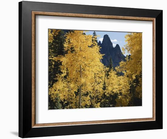 Colorado, Rocky Mts, Uncompahgre Nf. Fall Colors of Aspen Trees-Christopher Talbot Frank-Framed Photographic Print