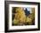 Colorado, Rocky Mts, Uncompahgre Nf. Fall Colors of Aspen Trees-Christopher Talbot Frank-Framed Photographic Print