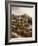 Colorado Royalty-Trevor V. Swanson-Framed Giclee Print