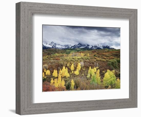 Colorado, San Juan Mountains, a Storm over Aspens at the Dallas Divide-Christopher Talbot Frank-Framed Photographic Print
