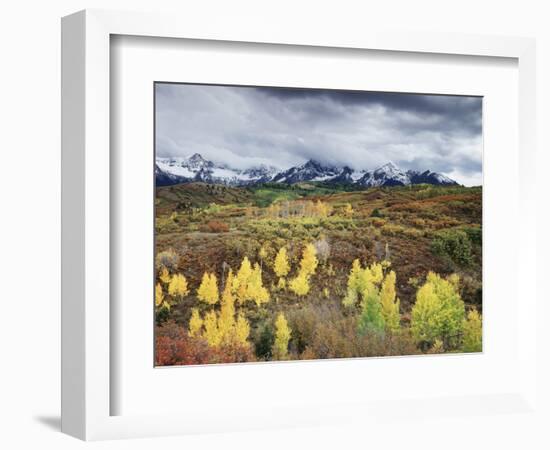 Colorado, San Juan Mountains, a Storm over Aspens at the Dallas Divide-Christopher Talbot Frank-Framed Photographic Print