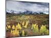 Colorado, San Juan Mountains, a Storm over Aspens at the Dallas Divide-Christopher Talbot Frank-Mounted Photographic Print