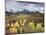 Colorado, San Juan Mountains, a Storm over Aspens at the Dallas Divide-Christopher Talbot Frank-Mounted Photographic Print