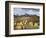 Colorado, San Juan Mountains, a Storm over Aspens at the Dallas Divide-Christopher Talbot Frank-Framed Photographic Print