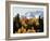 Colorado, San Juan Mountains, Autumn Aspens Below Snowy Mountains-Christopher Talbot Frank-Framed Photographic Print