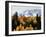 Colorado, San Juan Mountains, Autumn Aspens Below Snowy Mountains-Christopher Talbot Frank-Framed Photographic Print