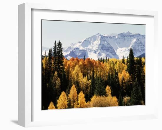 Colorado, San Juan Mountains, Autumn Aspens Below Snowy Mountains-Christopher Talbot Frank-Framed Photographic Print