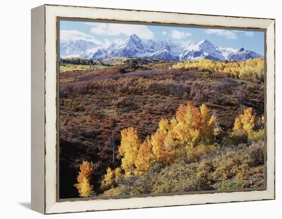 Colorado, San Juan Mountains, Autumn Colors of Aspen at Dallas Divide-Christopher Talbot Frank-Framed Premier Image Canvas