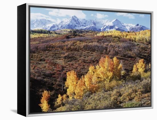 Colorado, San Juan Mountains, Autumn Colors of Aspen at Dallas Divide-Christopher Talbot Frank-Framed Premier Image Canvas