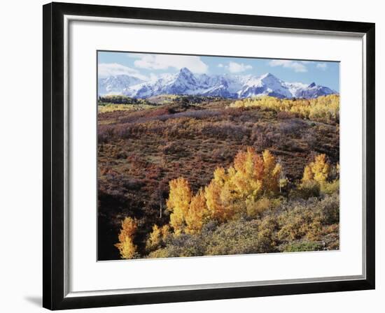 Colorado, San Juan Mountains, Autumn Colors of Aspen at Dallas Divide-Christopher Talbot Frank-Framed Photographic Print