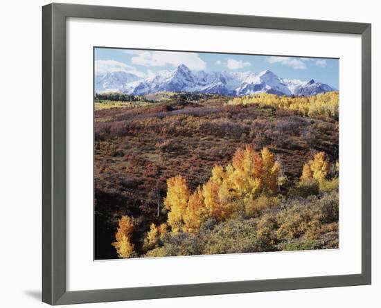 Colorado, San Juan Mountains, Autumn Colors of Aspen at Dallas Divide-Christopher Talbot Frank-Framed Photographic Print