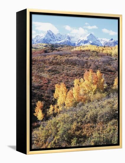 Colorado, San Juan Mountains, Autumn Colors of Aspen at Dallas Divide-Christopher Talbot Frank-Framed Premier Image Canvas