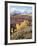 Colorado, San Juan Mountains, Autumn Colors of Aspen at Dallas Divide-Christopher Talbot Frank-Framed Photographic Print