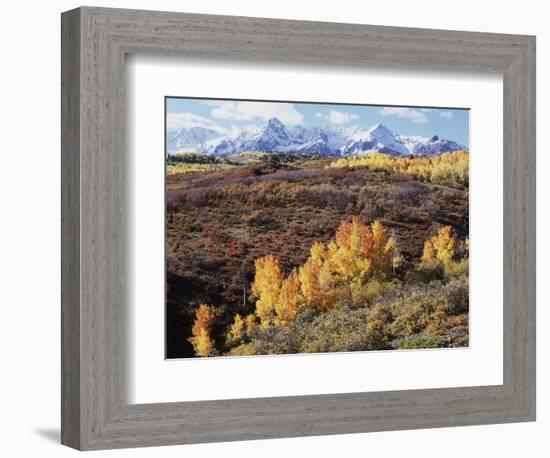 Colorado, San Juan Mountains, Autumn Colors of Aspen at Dallas Divide-Christopher Talbot Frank-Framed Photographic Print