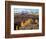 Colorado, San Juan Mountains, Autumn Colors of Aspen at Dallas Divide-Christopher Talbot Frank-Framed Photographic Print