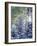Colorado, San Juan Mountains, First Snow in the Forest-Christopher Talbot Frank-Framed Photographic Print