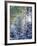 Colorado, San Juan Mountains, First Snow in the Forest-Christopher Talbot Frank-Framed Photographic Print