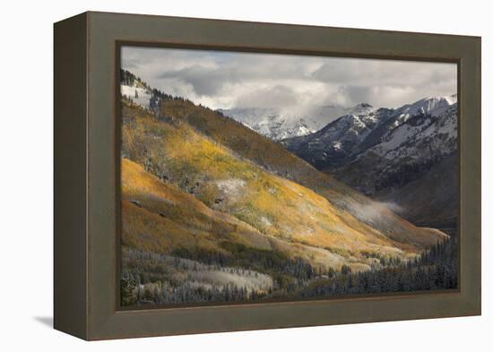 Colorado, San Juan Mountains. Red Mountain Pass after Autumn Snowfall-Don Grall-Framed Premier Image Canvas