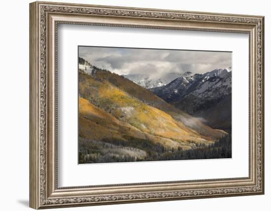 Colorado, San Juan Mountains. Red Mountain Pass after Autumn Snowfall-Don Grall-Framed Photographic Print