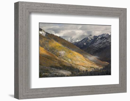 Colorado, San Juan Mountains. Red Mountain Pass after Autumn Snowfall-Don Grall-Framed Photographic Print