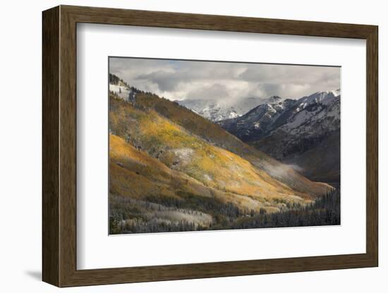 Colorado, San Juan Mountains. Red Mountain Pass after Autumn Snowfall-Don Grall-Framed Photographic Print