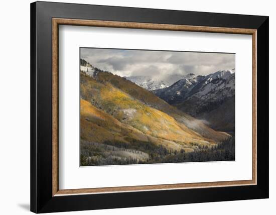 Colorado, San Juan Mountains. Red Mountain Pass after Autumn Snowfall-Don Grall-Framed Photographic Print