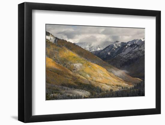 Colorado, San Juan Mountains. Red Mountain Pass after Autumn Snowfall-Don Grall-Framed Photographic Print