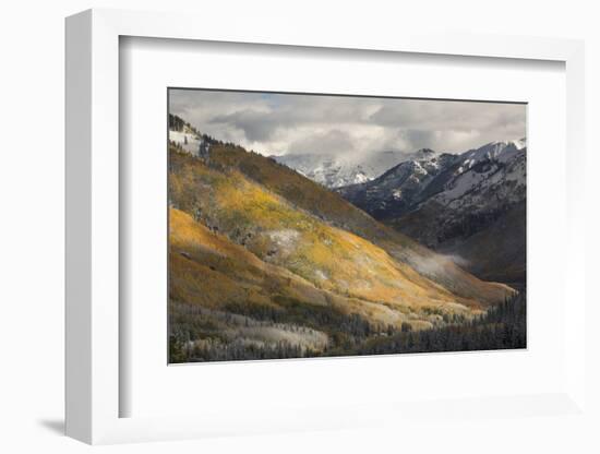 Colorado, San Juan Mountains. Red Mountain Pass after Autumn Snowfall-Don Grall-Framed Photographic Print