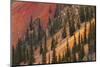 Colorado, San Juan Mts, Colorful Slopes of Anvil Mountain-David Wall-Mounted Photographic Print