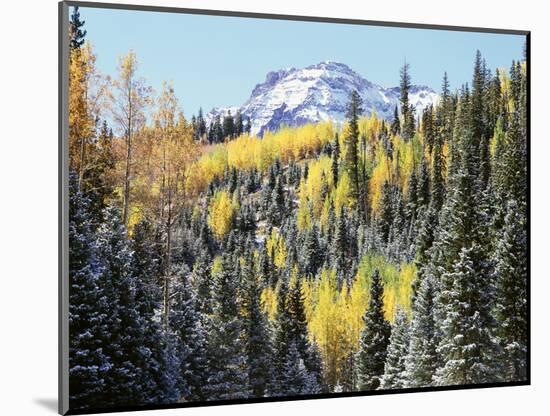 Colorado, San Juan Mts, First Snow and Fall Colors of Aspen Trees-Christopher Talbot Frank-Mounted Photographic Print