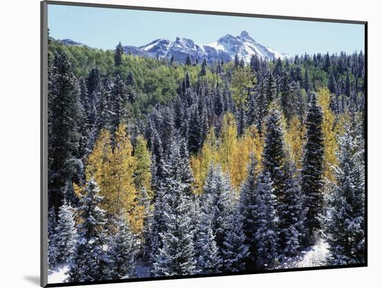 Colorado, San Juan Mts, First Snow and Fall Colors of the Forest-Christopher Talbot Frank-Mounted Photographic Print