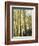 Colorado, San Juan Mts, Uncompahgre Nf, Fall Colors of an Aspen Trees-Christopher Talbot Frank-Framed Photographic Print