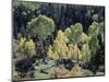 Colorado, San Juan Mts, Uncompahgre Nf, Fall Colors of Aspens-Christopher Talbot Frank-Mounted Photographic Print