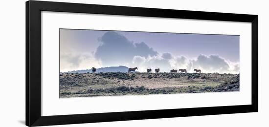 Colorado, Sand Wash Basin. Wild Horses in Silhouette-Jaynes Gallery-Framed Photographic Print