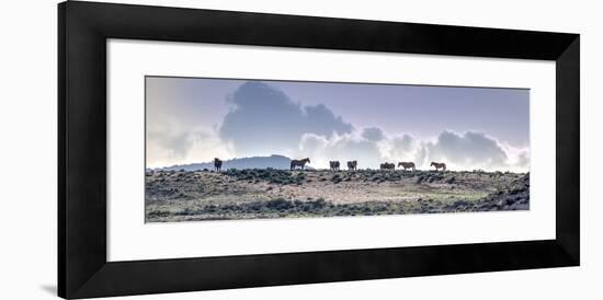 Colorado, Sand Wash Basin. Wild Horses in Silhouette-Jaynes Gallery-Framed Photographic Print