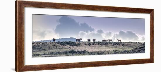 Colorado, Sand Wash Basin. Wild Horses in Silhouette-Jaynes Gallery-Framed Photographic Print