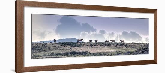 Colorado, Sand Wash Basin. Wild Horses in Silhouette-Jaynes Gallery-Framed Photographic Print