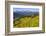 Colorado, Shrine Pass, Vail. Wildflowers on Mountain Landscape-Jaynes Gallery-Framed Photographic Print