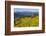 Colorado, Shrine Pass, Vail. Wildflowers on Mountain Landscape-Jaynes Gallery-Framed Photographic Print