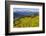 Colorado, Shrine Pass, Vail. Wildflowers on Mountain Landscape-Jaynes Gallery-Framed Photographic Print