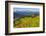 Colorado, Shrine Pass, Vail. Wildflowers on Mountain Landscape-Jaynes Gallery-Framed Photographic Print