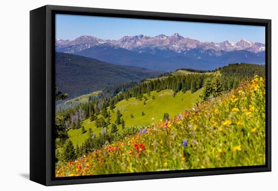 Colorado, Shrine Pass, Vail. Wildflowers on Mountain Landscape-Jaynes Gallery-Framed Premier Image Canvas