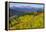 Colorado, Shrine Pass, Vail. Wildflowers on Mountain Landscape-Jaynes Gallery-Framed Premier Image Canvas