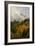 Colorado, Sneffels Range. Clouds over Mountain Landscape at Sunset-Don Grall-Framed Photographic Print