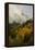 Colorado, Sneffels Range. Clouds over Mountain Landscape at Sunset-Don Grall-Framed Premier Image Canvas