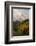 Colorado, Sneffels Range. Clouds over Mountain Landscape at Sunset-Don Grall-Framed Photographic Print