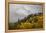 Colorado, Sneffels Range. Snow Clouds over Mt Sneffels at Sunset-Don Grall-Framed Premier Image Canvas