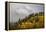 Colorado, Sneffels Range. Snow Clouds over Mt Sneffels at Sunset-Don Grall-Framed Premier Image Canvas