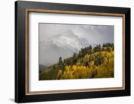 Colorado, Sneffels Range. Snow Clouds over Mt Sneffels at Sunset-Don Grall-Framed Photographic Print
