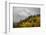 Colorado, Sneffels Range. Snow Clouds over Mt Sneffels at Sunset-Don Grall-Framed Photographic Print